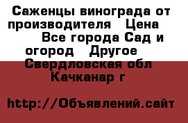 Саженцы винограда от производителя › Цена ­ 800 - Все города Сад и огород » Другое   . Свердловская обл.,Качканар г.